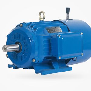 YEJ2-系列電磁制動三相異步電動機(手抦)