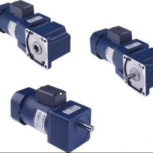 YB系列電磁制動微型電機