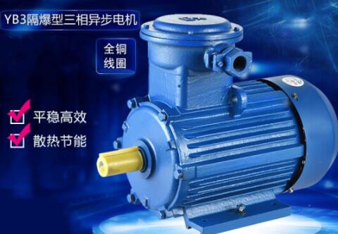 YB3防爆電機產(chǎn)品圖
